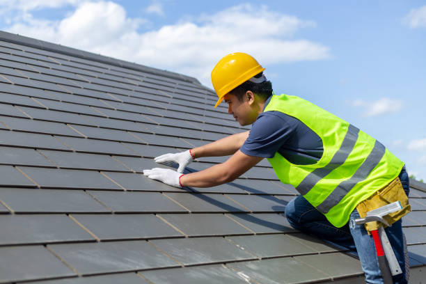 Roof Gutter Cleaning in Eaton, CO